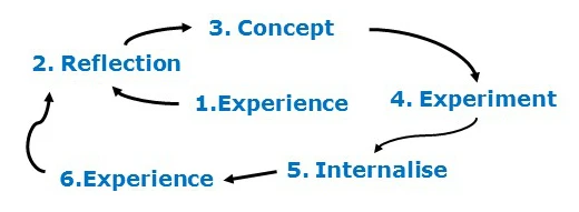 Team Learning