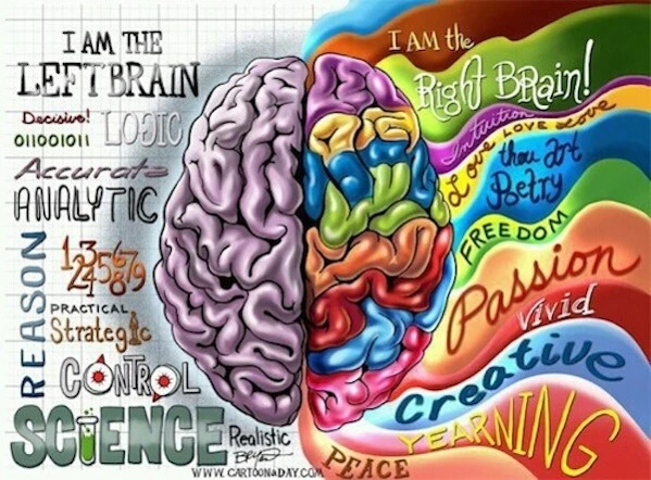 Two-brain buyer